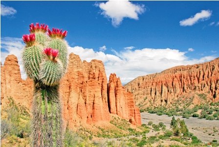 luis amantini kmv kawasaki