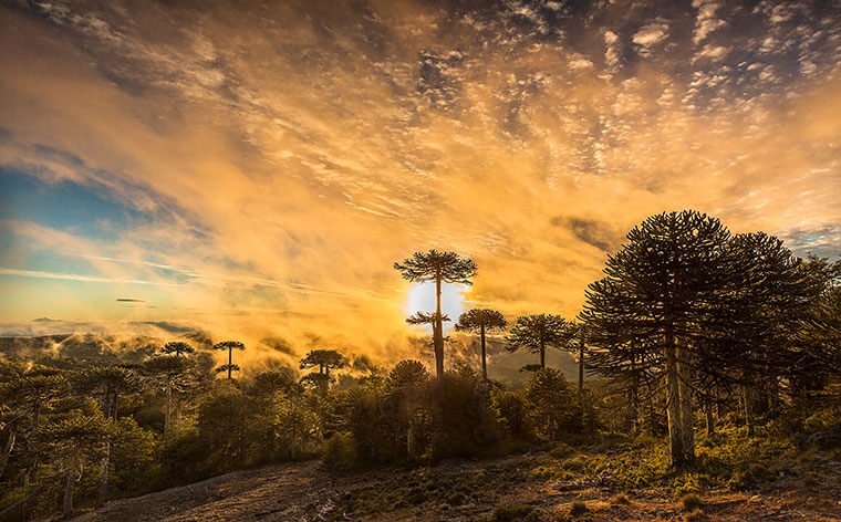 Kmv Kawasaki paisajes 2022 36 kmv venezuela