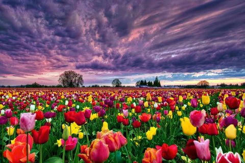 Cultura universal y cultura local Carlos Amantini moto 2022 19 carlos amantini