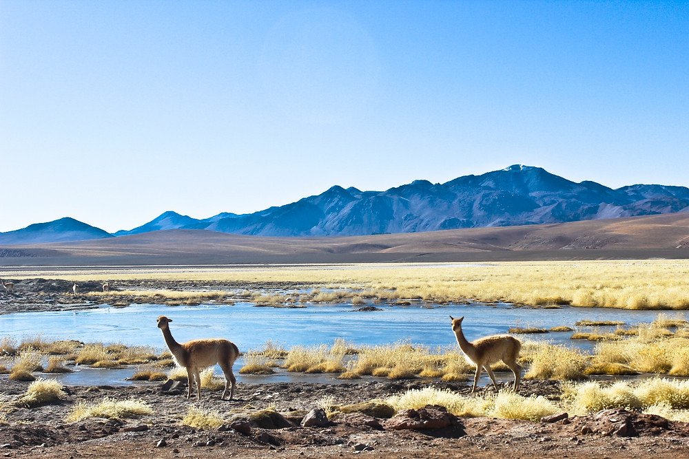 10 culturas más ricas del mundo Carlos Ignacio Amantini Kawasaki 1 carlos amantini